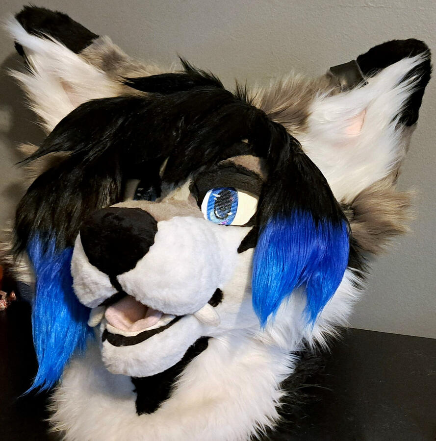 Geno 1.5 Head Geno 1.5 Head