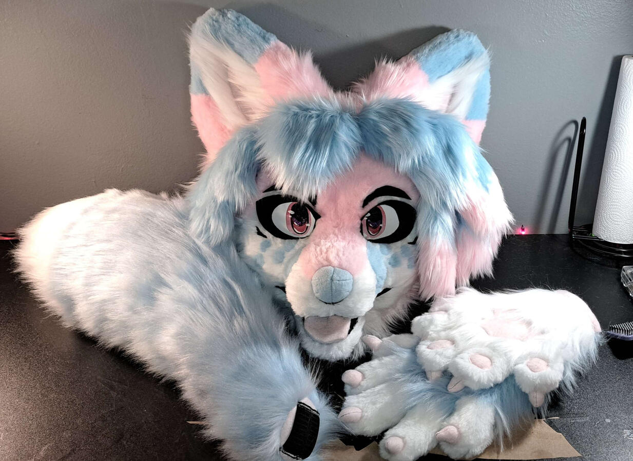 Fox Premade Fox Premade